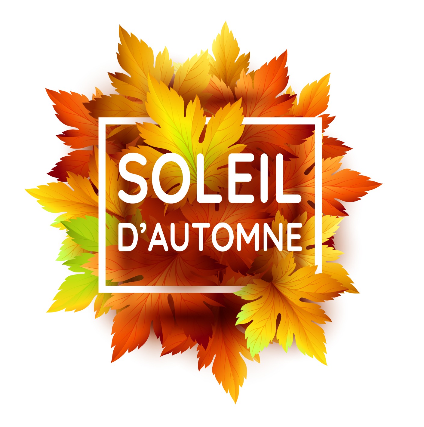 soleil_automne-art-marketing-tendance-outdoor
